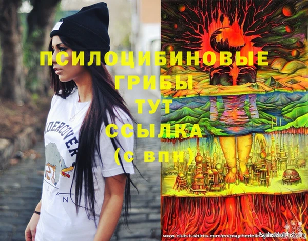 хмурый Нязепетровск