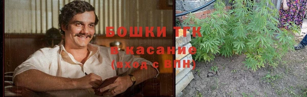 apvp Дегтярск