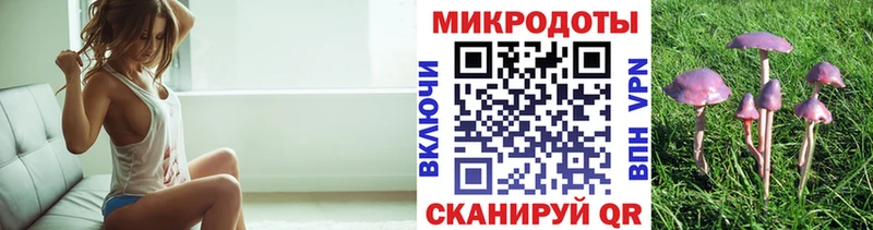 mega рабочий сайт Нязепетровск Псилоцибиновые грибы Cubensis